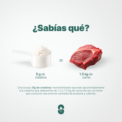Creatina